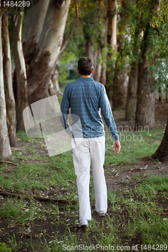 Image of Man Walking Alone in Woods