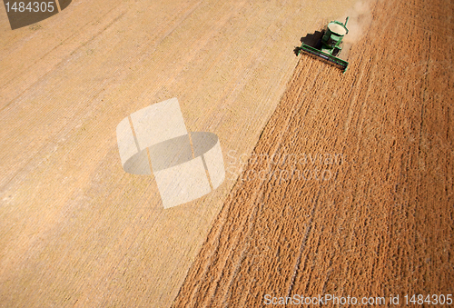 Image of Harvest Background Abstract