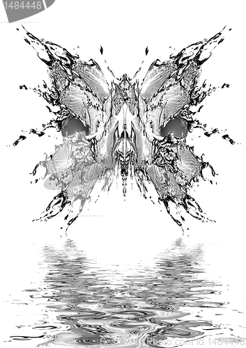 Image of Black water butterfly