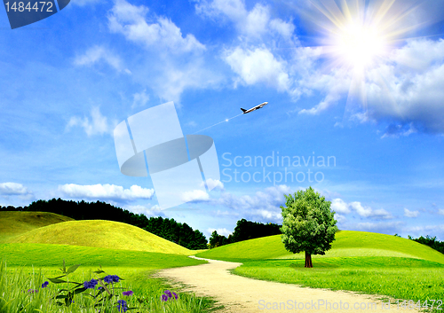 Image of green grass and the blue sky