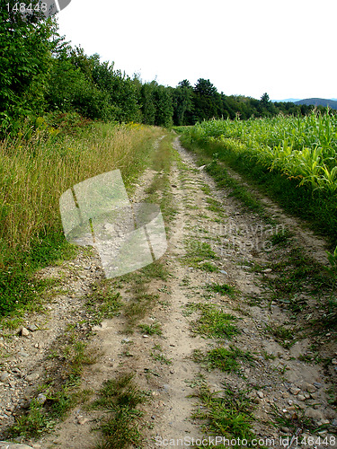 Image of dirt road