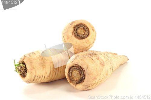 Image of Parsley root