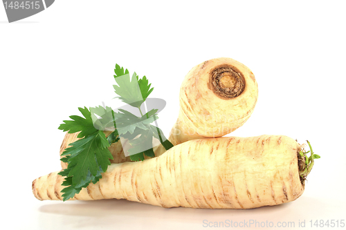 Image of fresh Parsley root