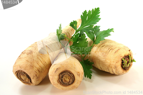 Image of Parsley root with smooth parsley