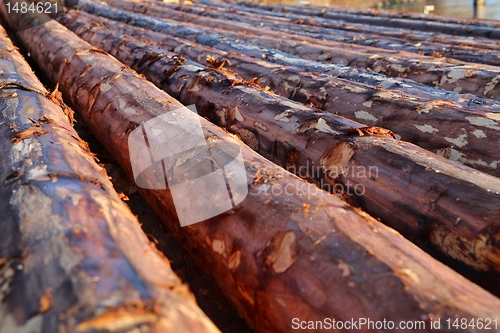 Image of Timbers