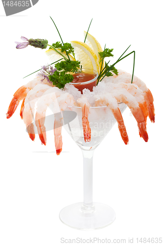 Image of Iced shrimp cocktail