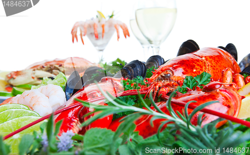 Image of Lobster and seafood