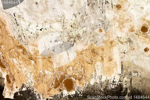 Image of Mold