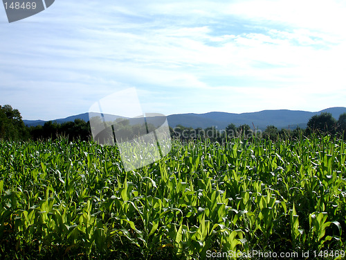 Image of Vermont Mountains