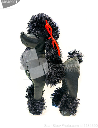 Image of Toy dog