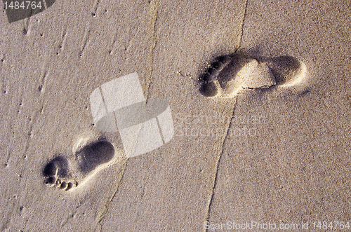 Image of Bare human footprints in sea sand. Rest near sea.