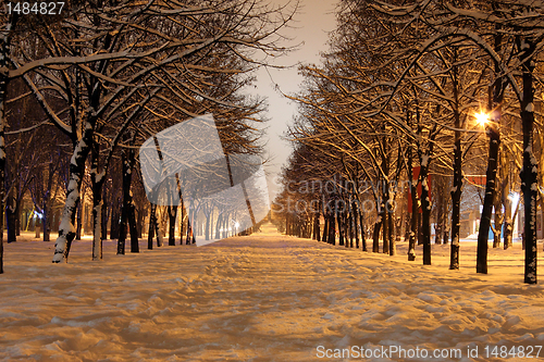 Image of avenue at winter night