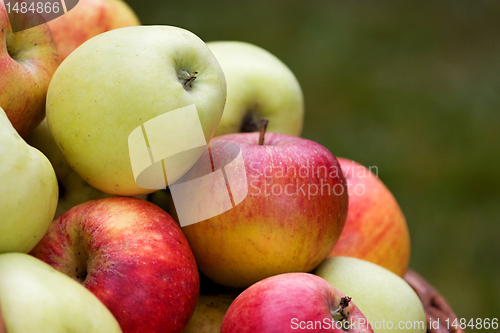 Image of Apples