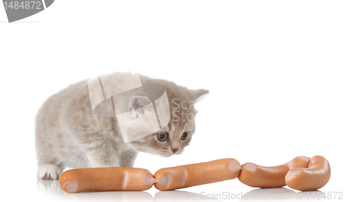 Image of kitten and sausages