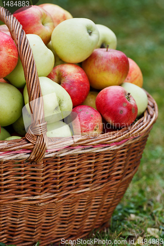 Image of Apples in basket