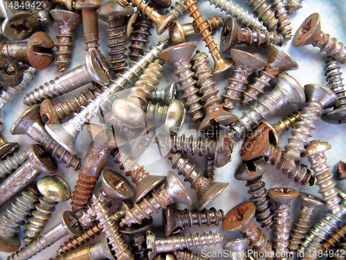 Image of assortment of screws