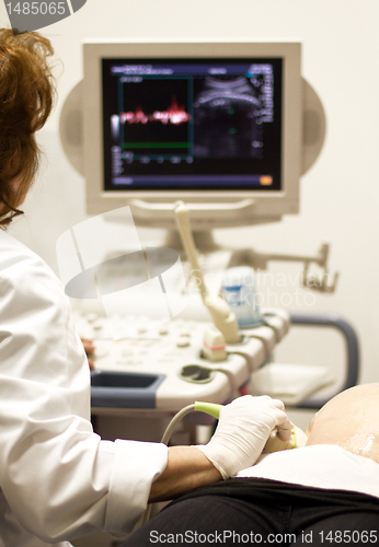 Image of medical examining by ultrasonic scan