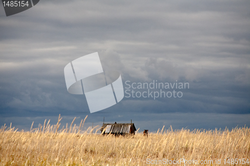 Image of abandoned house