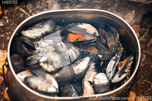 Image of boiled mussels