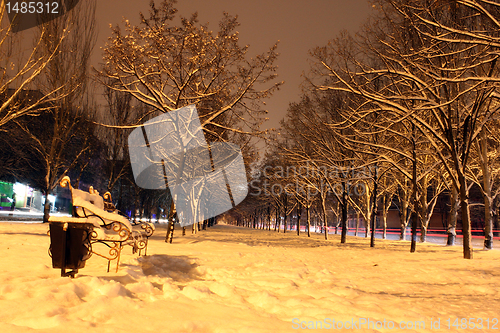 Image of winter avenue 