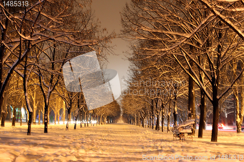 Image of winter avenue