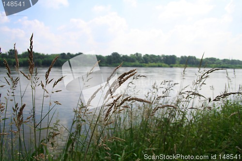 Image of River bank