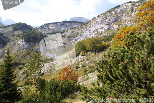 Image of Autumn in mountain