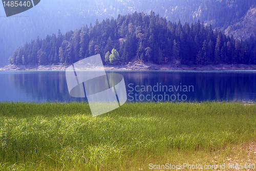 Image of Grass, trees and lake