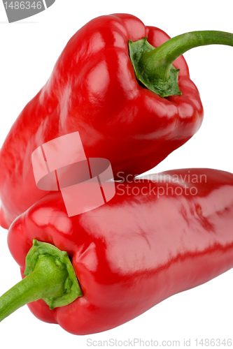 Image of Two red peppers