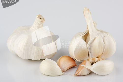 Image of Garlic 