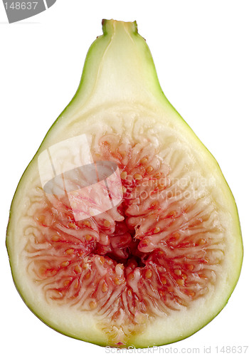 Image of Fig