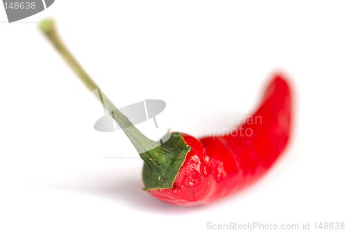 Image of Red Chili Pepper