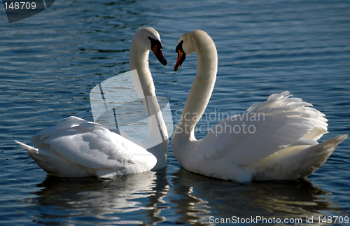 Image of In love