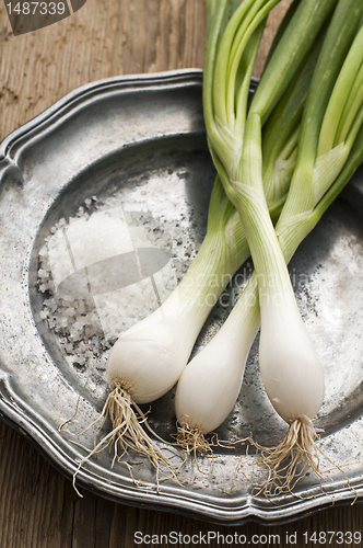 Image of Spring onions