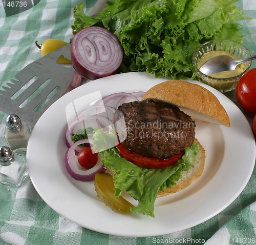 Image of elk burger