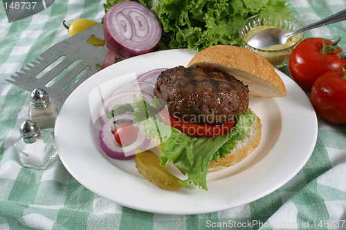 Image of elk burger