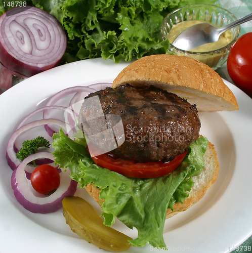 Image of elk burger