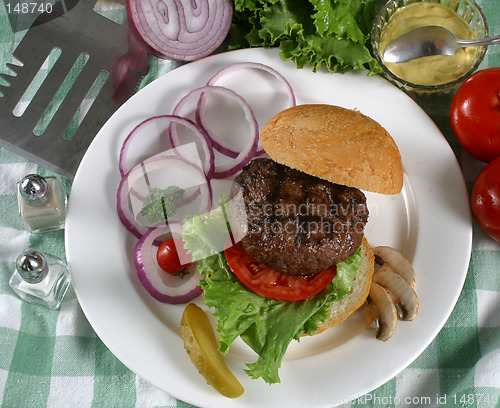 Image of elk burger
