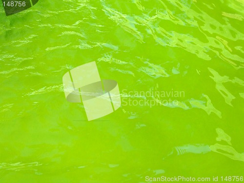 Image of Green water