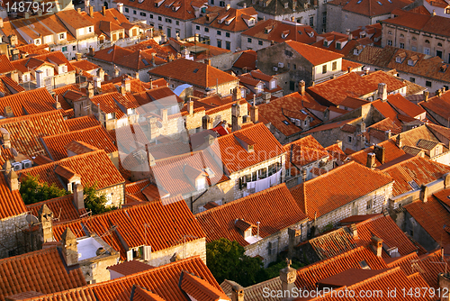 Image of Roofs