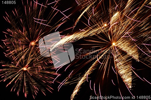 Image of Fireworks 19