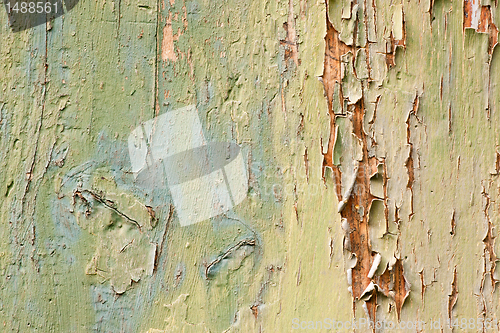 Image of Old paint