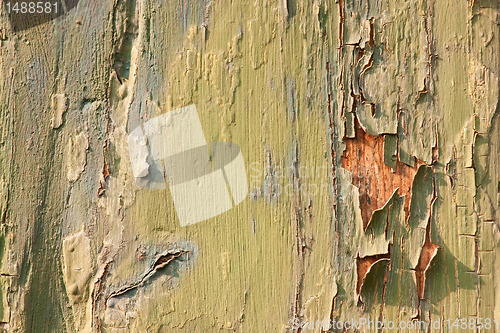 Image of Old paint