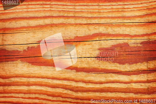 Image of Old wood texture