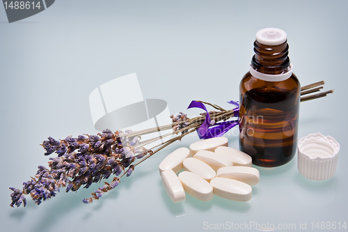 Image of Lavender herb and essential oil