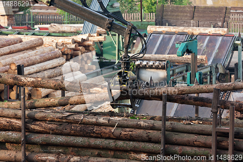 Image of Loading of logs on transport