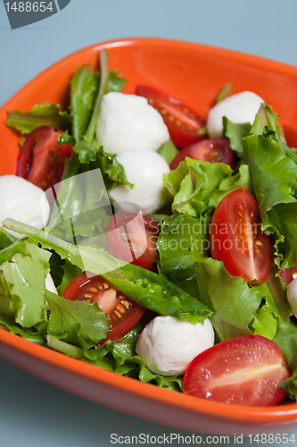 Image of Vegetable salad