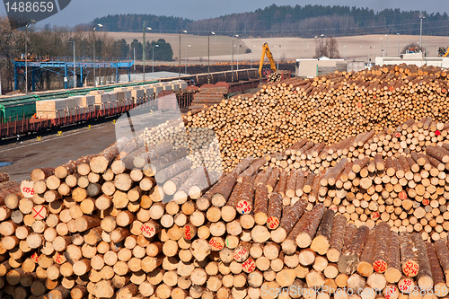 Image of Pile of wood