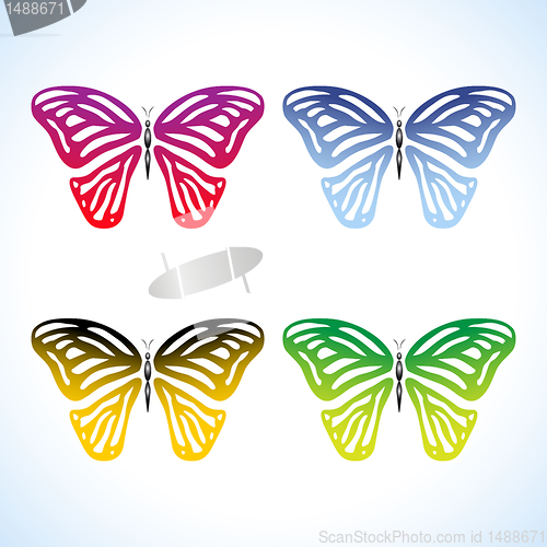 Image of Colorful Butterflies