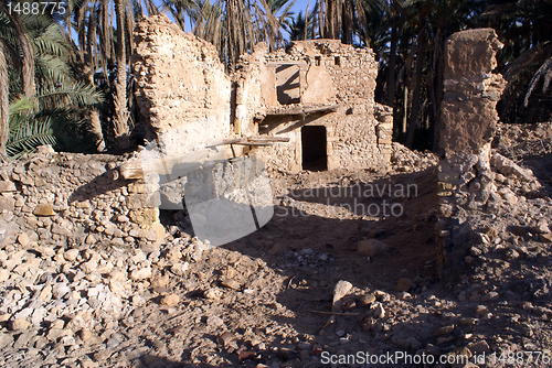Image of Palm trees and ruins